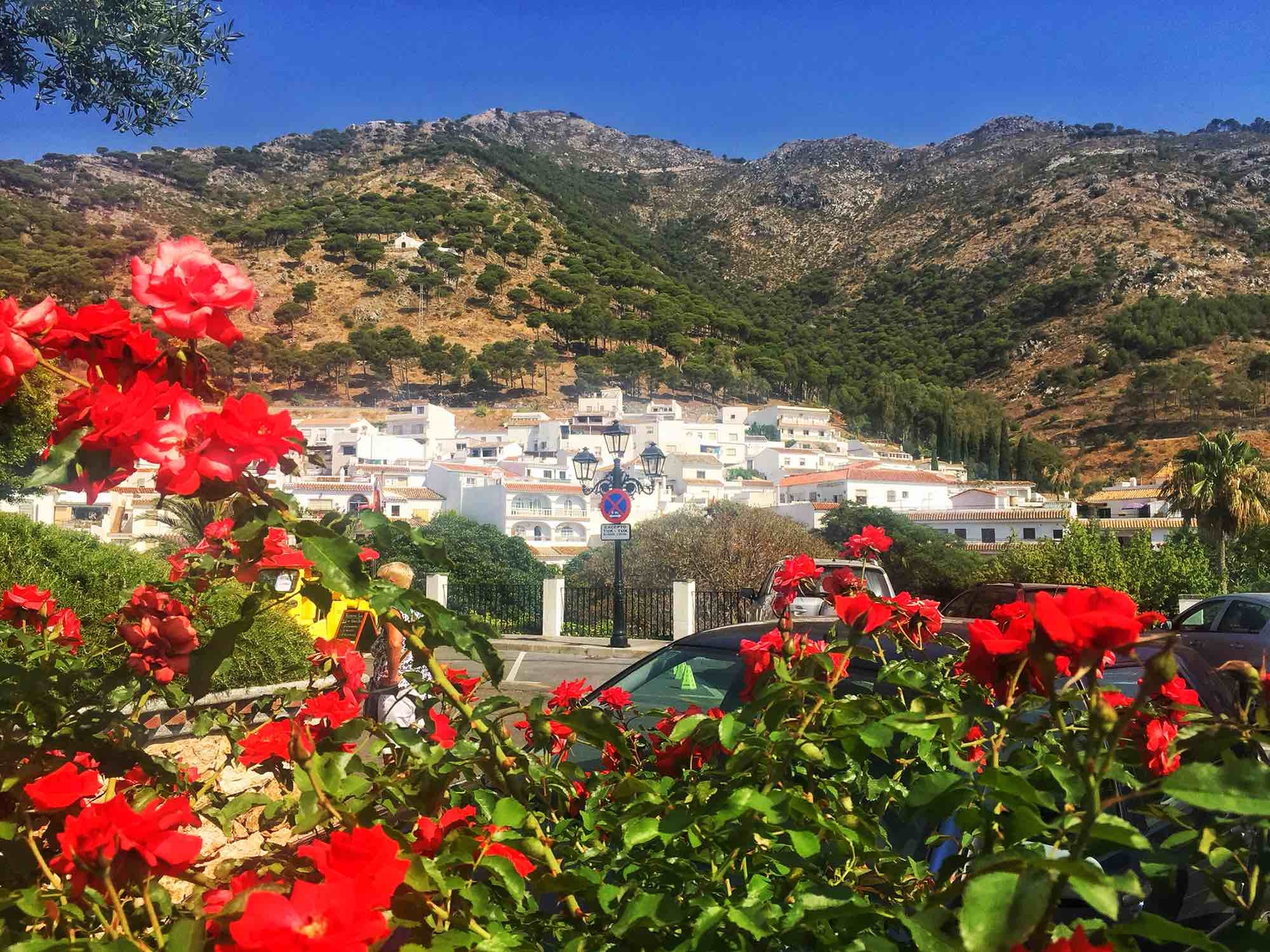 巴塞罗那旅游怎么样,巴塞罗那旅游好玩吗