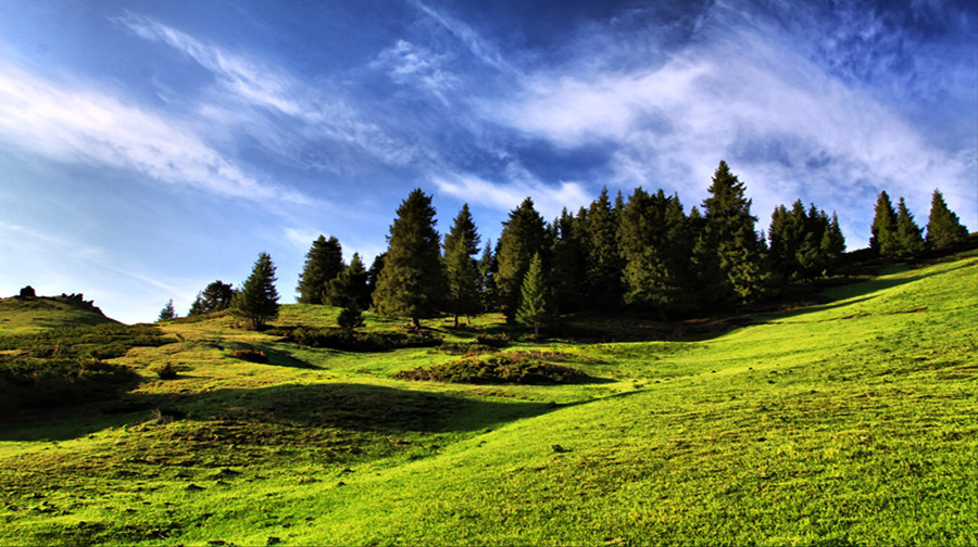 乌鲁木齐旅游线路攻略_上海到乌鲁木齐自助游
