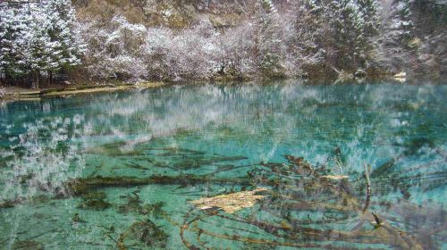 九寨沟3日私家团·独立成团 纯玩 宿四星千鹤