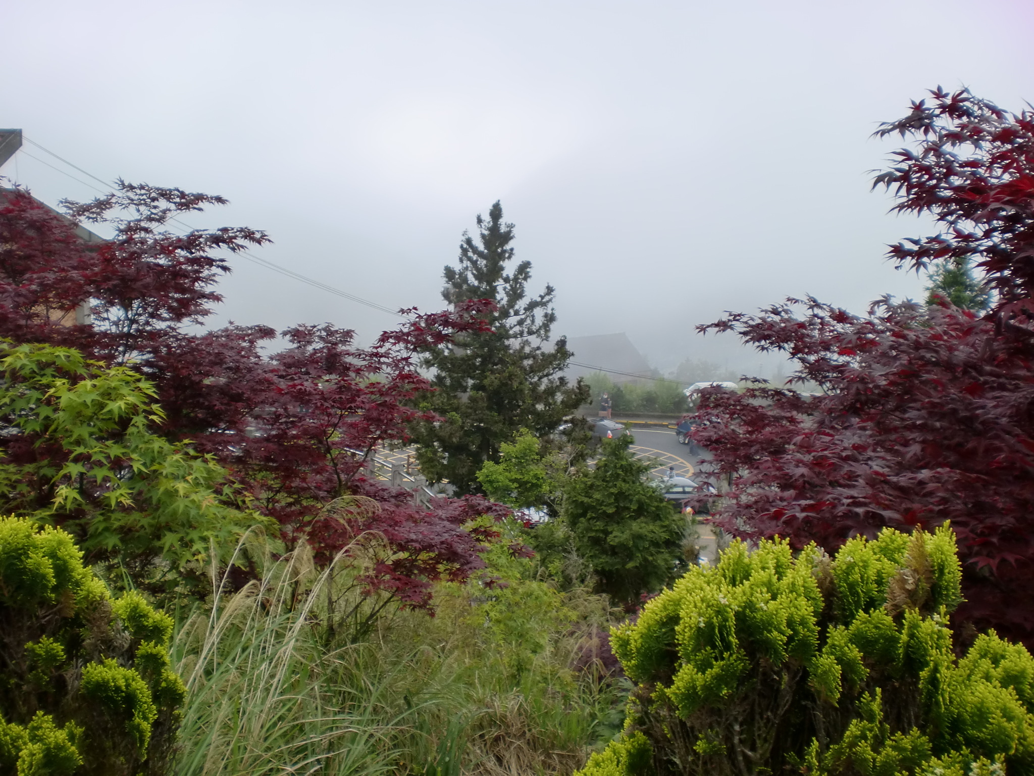 乐园游·广东深圳+香港+澳门5日跟团游·携程