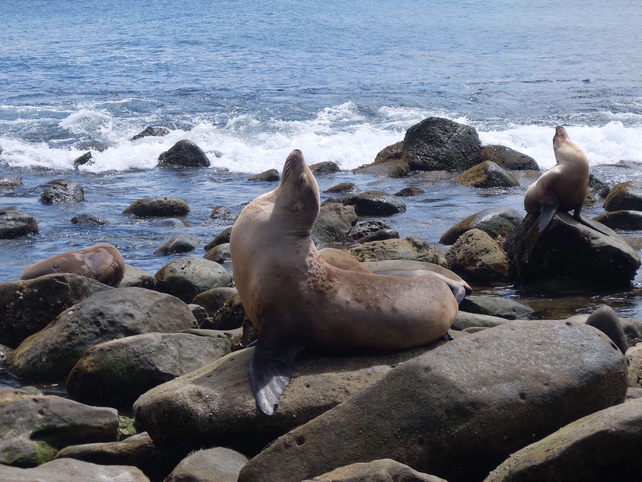 【携程攻略】上海到洛杉矶旅游报价,上海到洛
