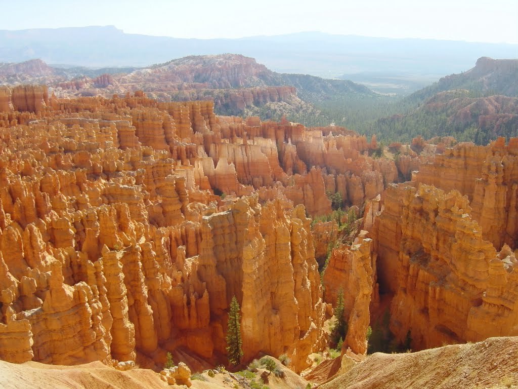 【携程攻略】上海到纽约旅游报价,上海到纽约