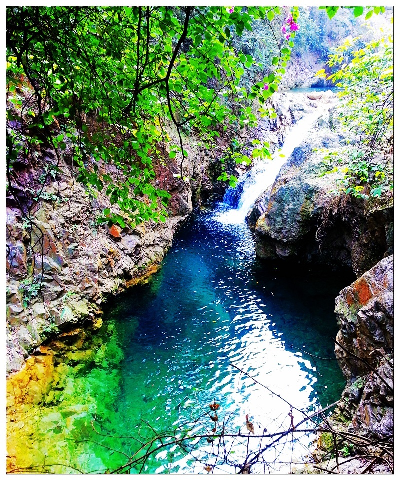 碧桂园高明凤凰酒店(佛山高明碧桂园凤凰酒店