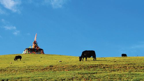 成都+雅安+新都桥+稻城亚丁+理塘+巴塘+墨脱