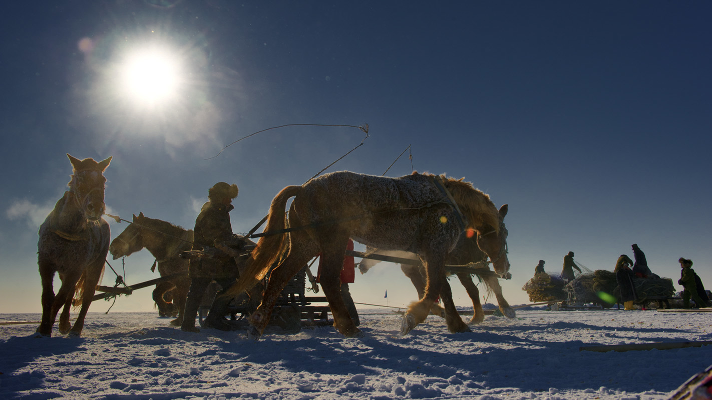 【亲子互动★爸爸去哪儿】北国冰雪童话之查