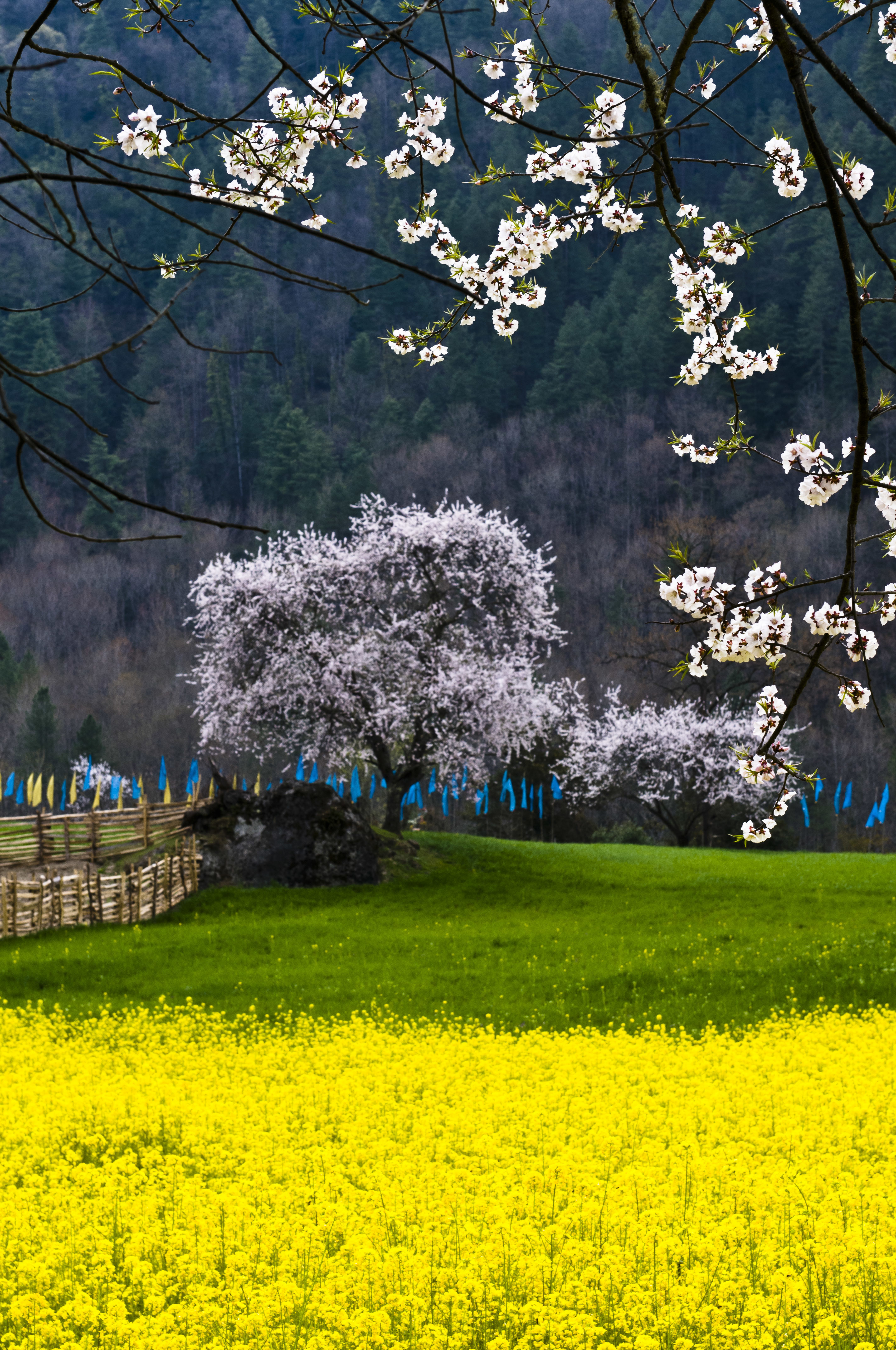 拉萨旅游线路攻略_长沙到拉萨自助游_自由行