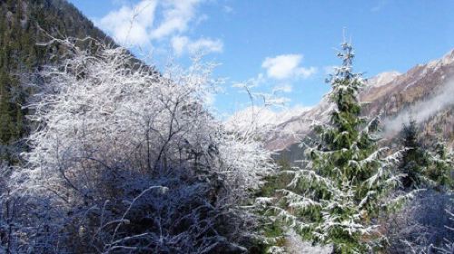 成都3日2晚跟团游·九寨沟、黄龙\/牟尼沟品质