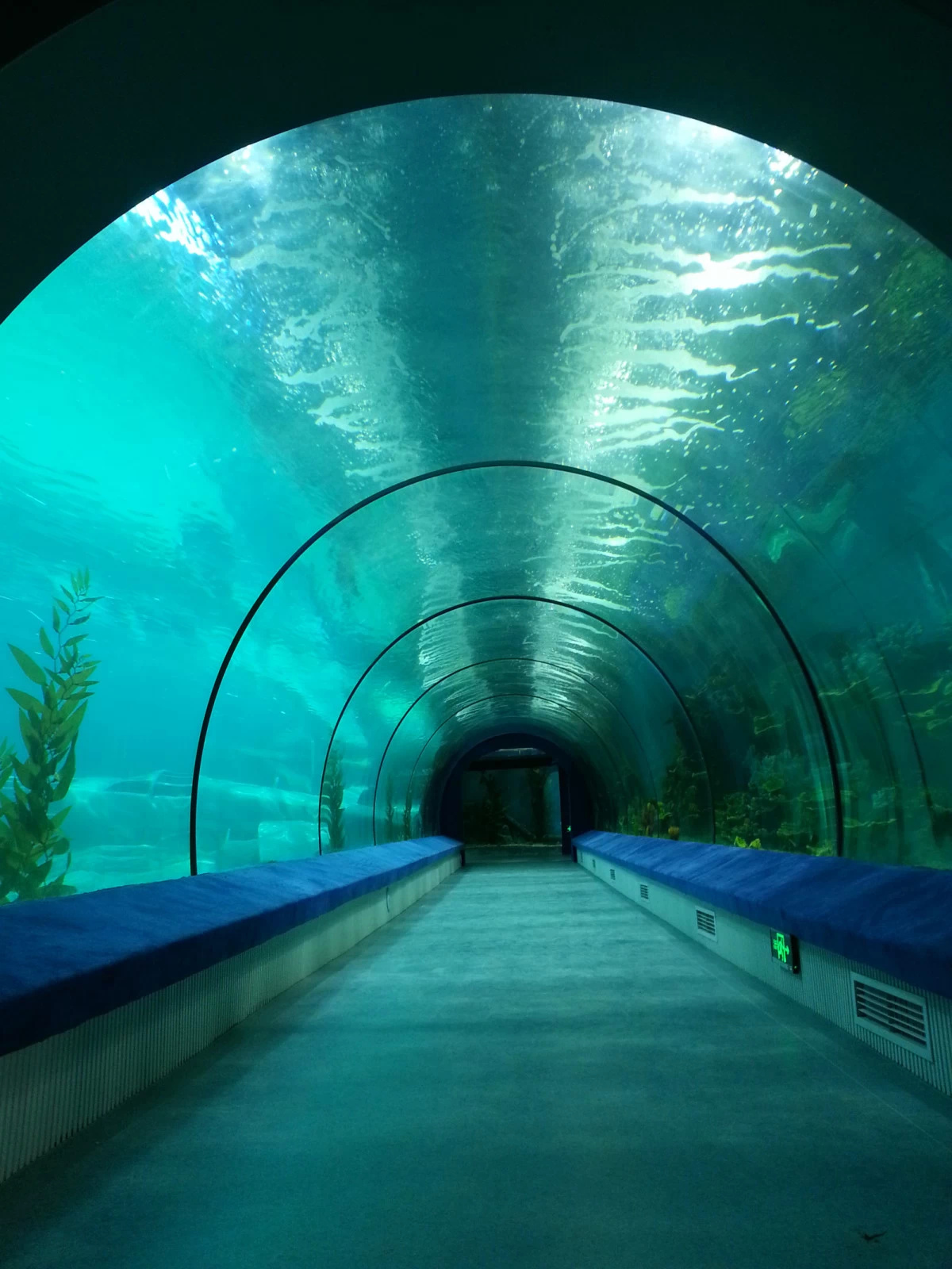 【携程攻略】上海到福州旅游报价,上海到福州