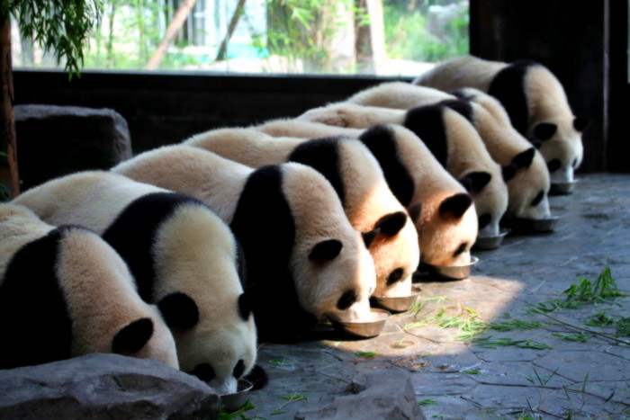 【携程攻略】郑州到九寨沟旅游报价,郑州到九