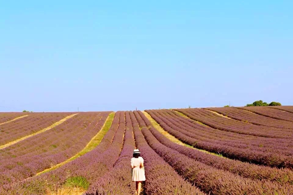 摩纳哥旅游怎么样,摩纳哥旅游好玩吗