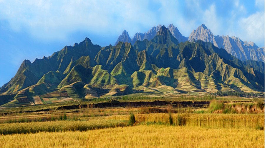 西宁旅游线路攻略_上海到西宁自助游_自由行