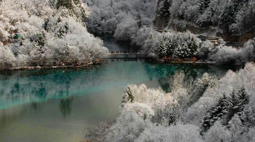 九寨沟3日半自助游·新南门巴士 纯玩无购物 