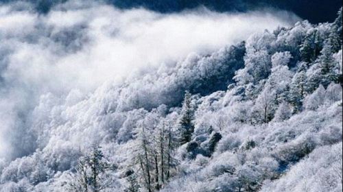 成都+九寨沟+黄龙7日6晚跟团游·(3钻)行程精