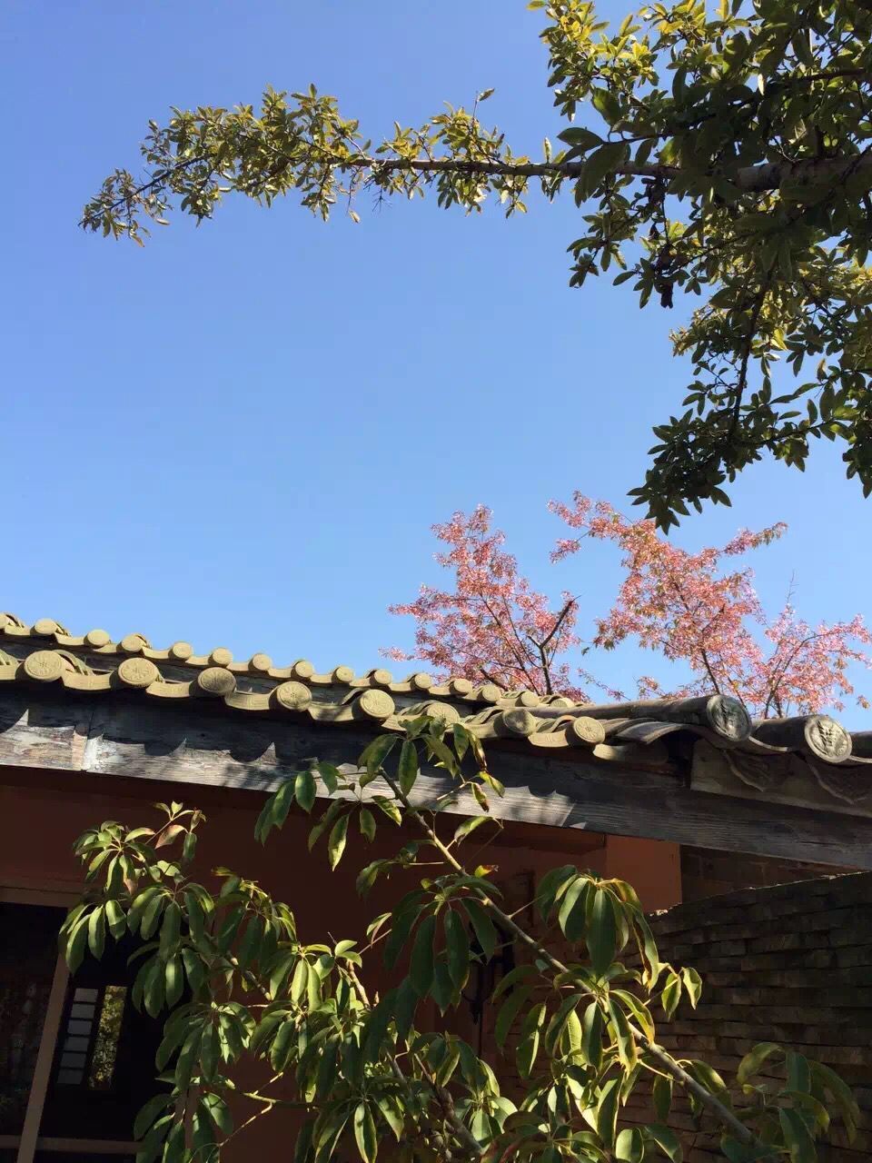 丽江旅游怎么样,丽江旅游好玩吗【携程旅游】