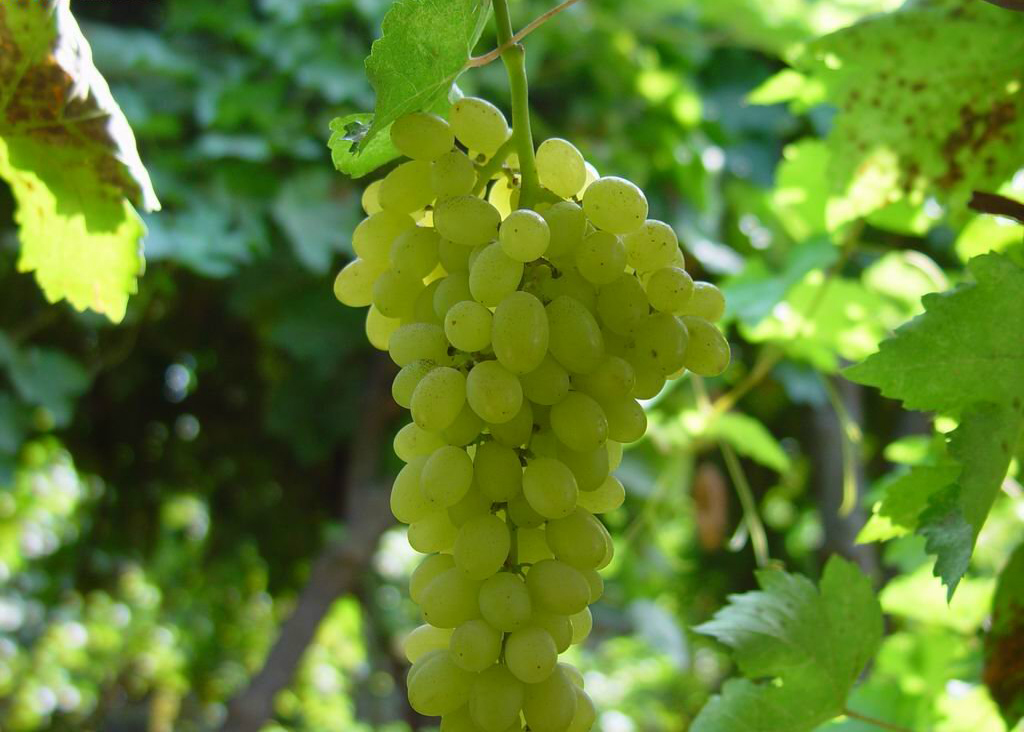 杭州周末跟团游,杭州周末跟团游报价,多少钱