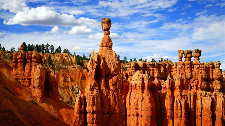 美国洛杉矶+拉斯维加斯+旧金山+西雅图+加拿