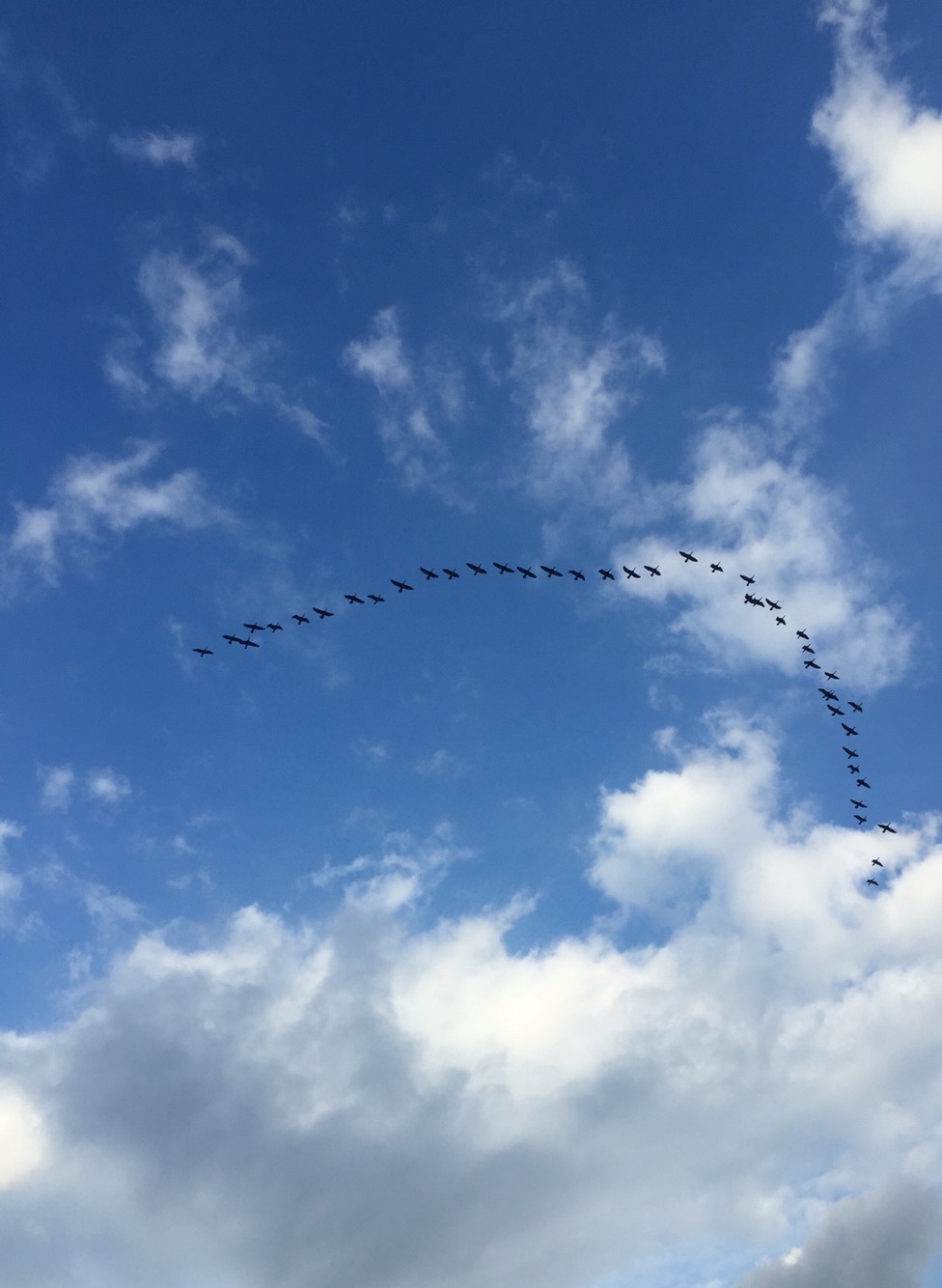加利利湖旅游怎么样,加利利湖旅游好玩吗