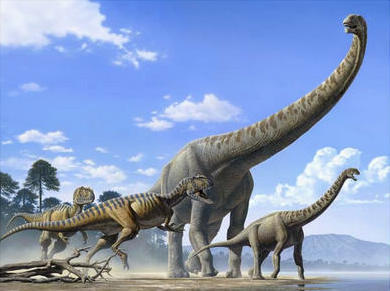 我们从哪里来,到哪里去?古动物博物馆回答你的