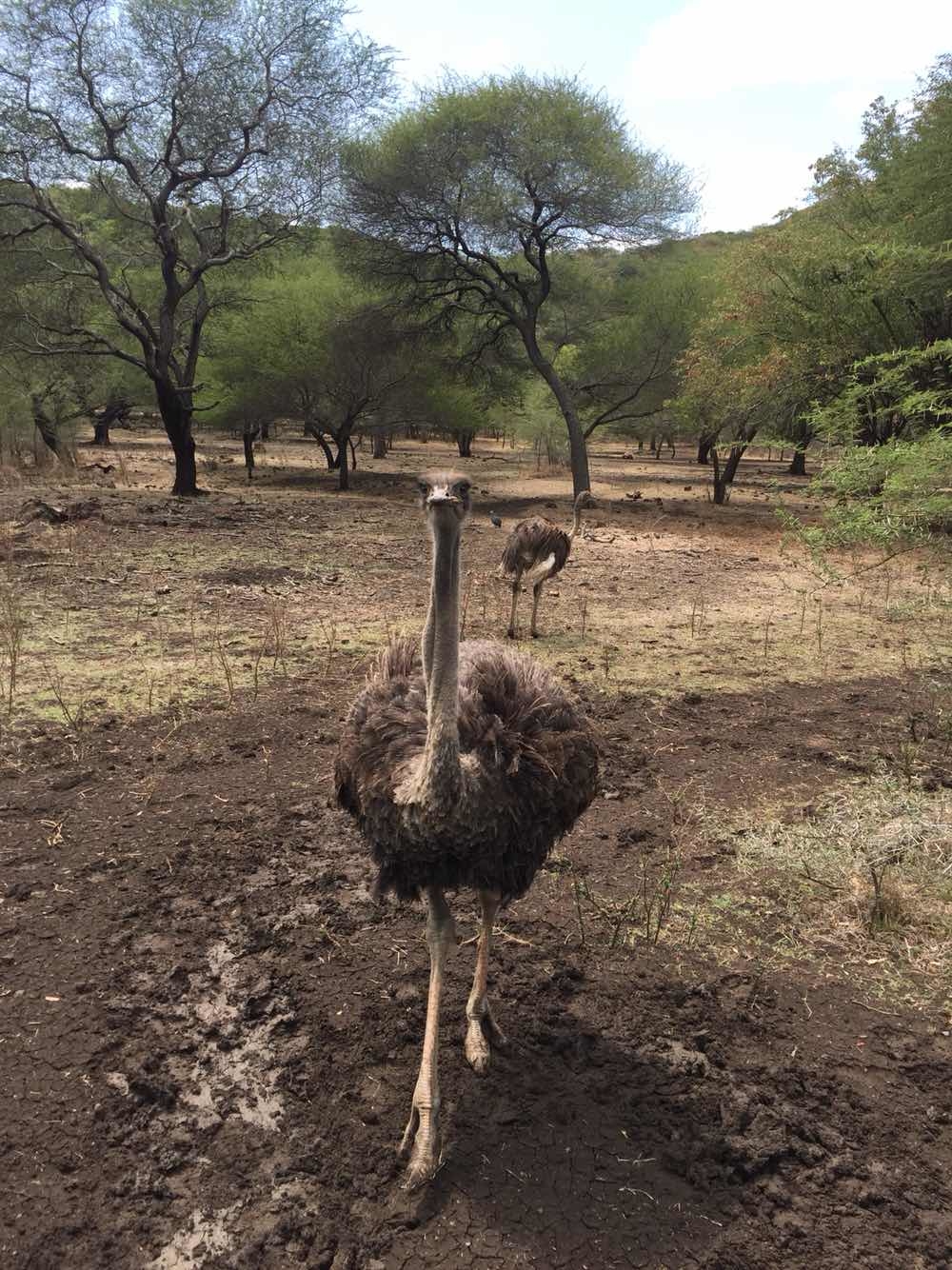 毛里求斯旅游怎么样,毛里求斯旅游好玩吗【携
