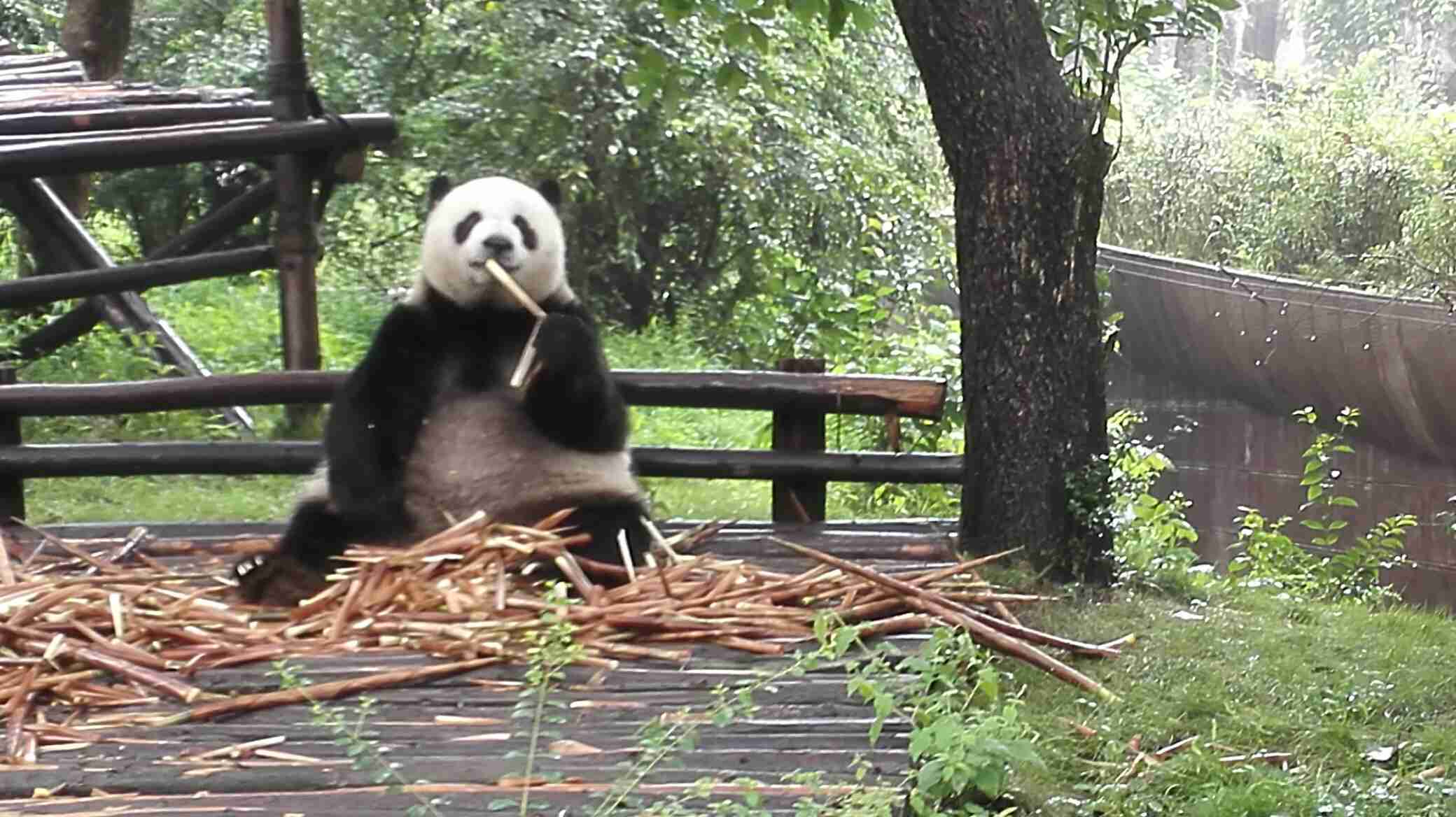 德阳旅游怎么样,德阳旅游好玩吗