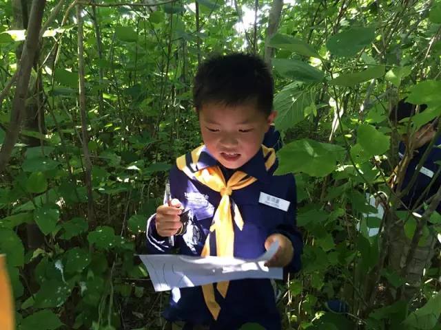 【上海1日训练营】户外地理之方向识别 \/ 初级