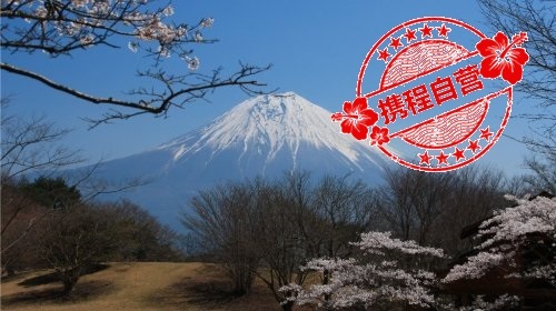 如果能有0分我想打0,日本东京5日4晚半自助游