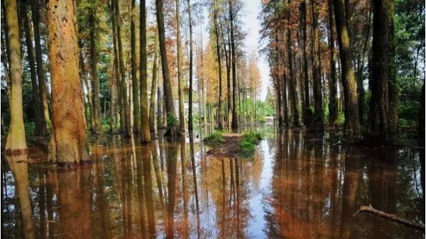 一堂自然课+一堂野炊课+一堂团队拓展课,轻松