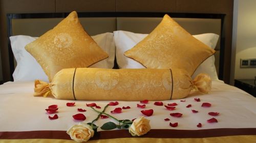 ·高端未病调养 五星养生酒店+法国鹰演查体+