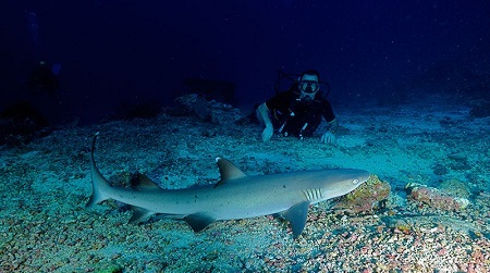 摄影之旅·马尔代夫奥露岛6日4晚半自助游·