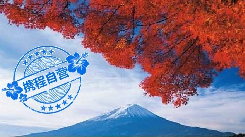 领队负责,导游不错,,日本大阪+京都+箱根+东京