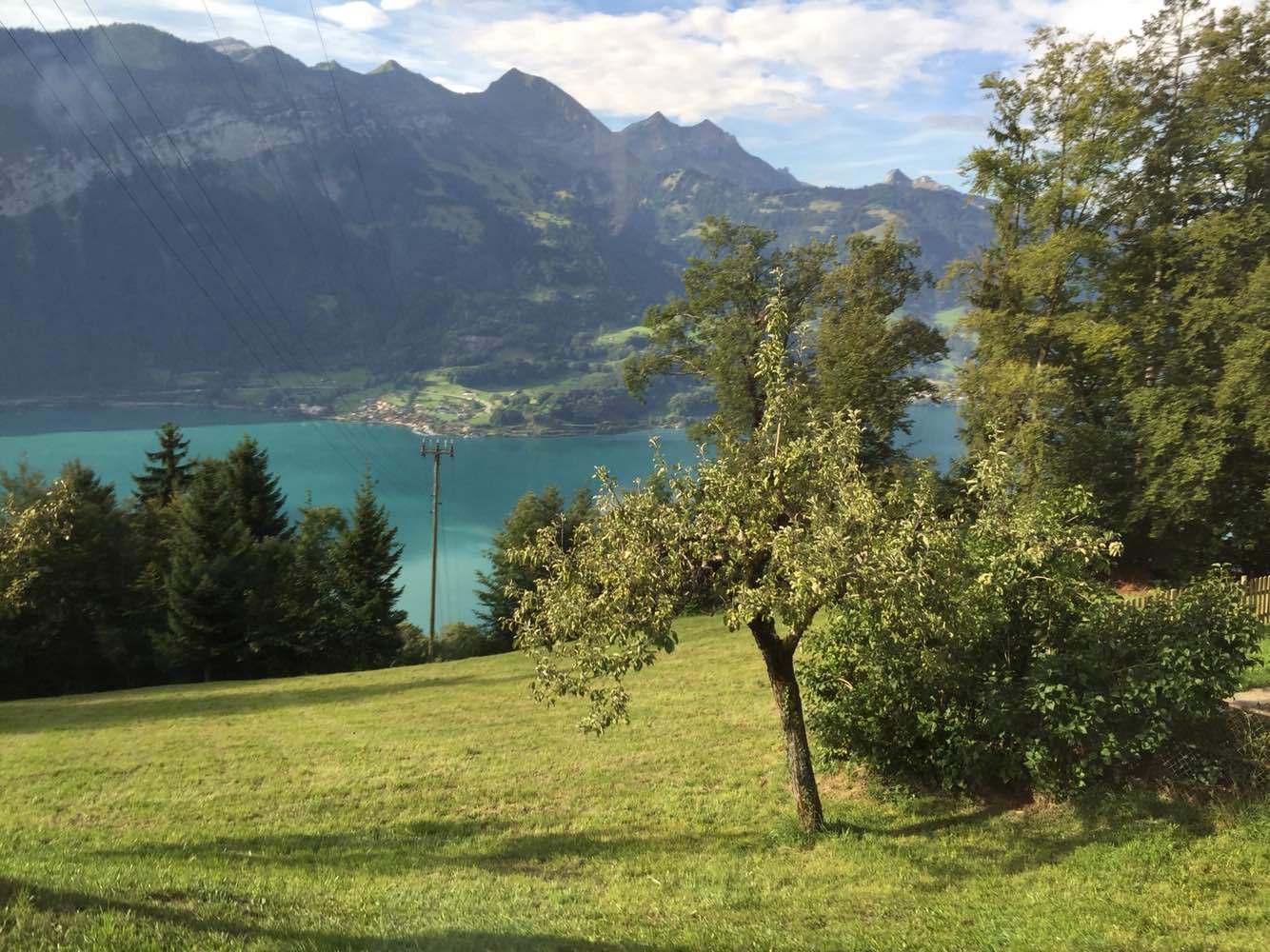 法兰克福旅游怎么样,法兰克福旅游好玩吗