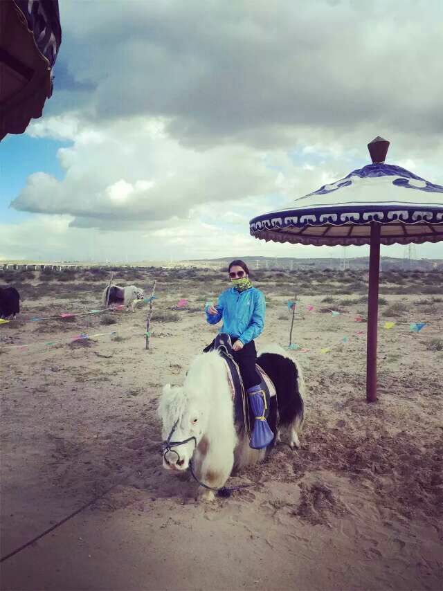 内蒙古旅游怎么样,内蒙古旅游好玩吗【携程旅