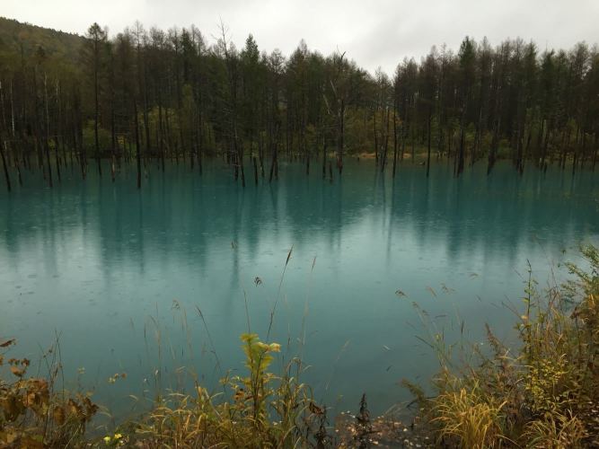 北海道旅游怎么样,北海道旅游好玩吗