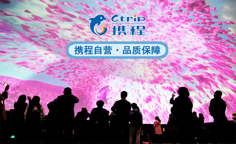 明+大理+丽江6日5晚跟团游(5钻)·携程自营 千