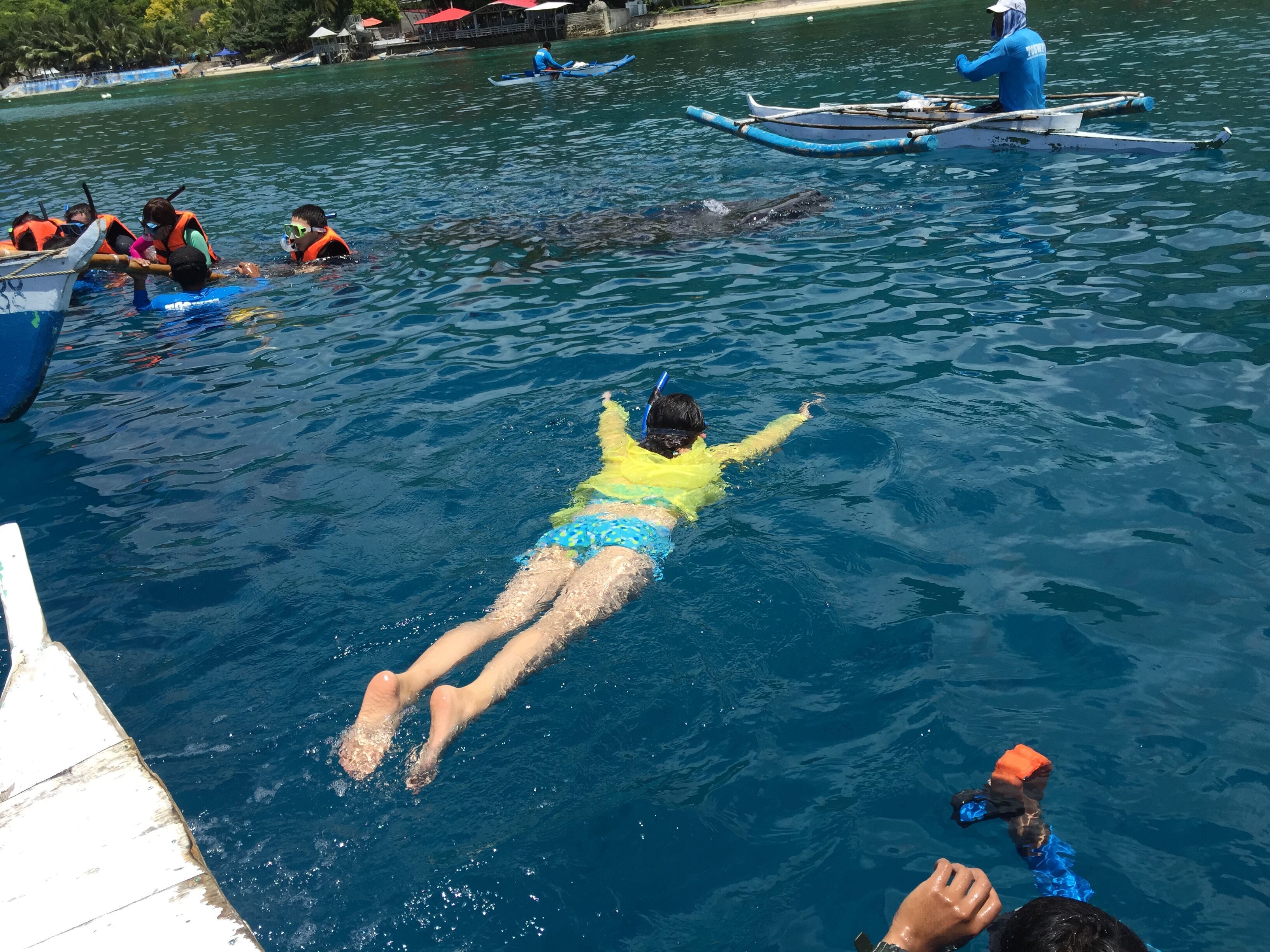 菲律宾杜马盖地7日5晚自由行·北京出发+多酒店选择+赠送中文导游市区游览-【携程旅游】