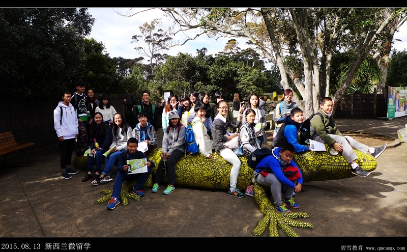 【超高性价比】寒假新西兰交换生项目+机签全