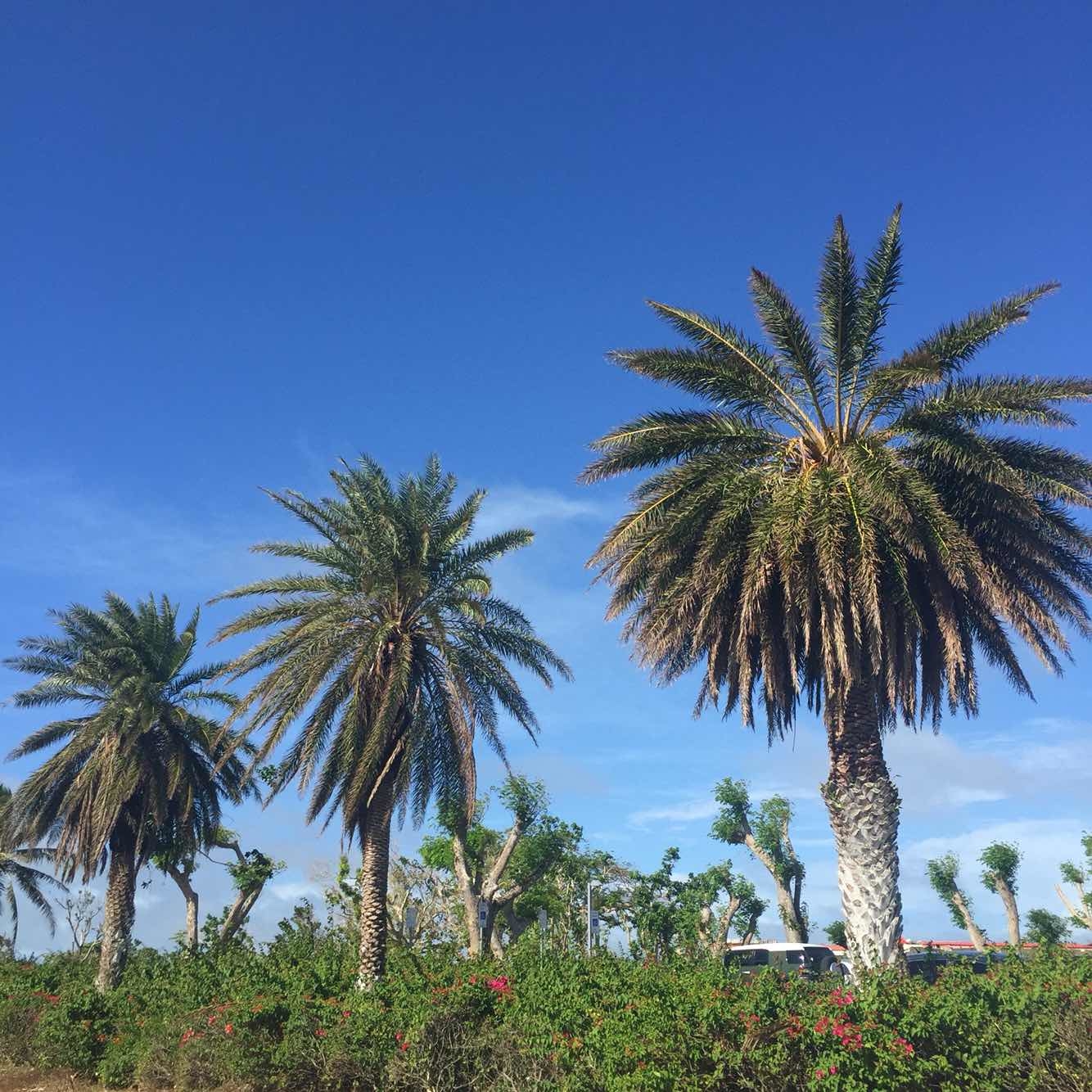 塞班岛旅游怎么样,塞班岛旅游好玩吗