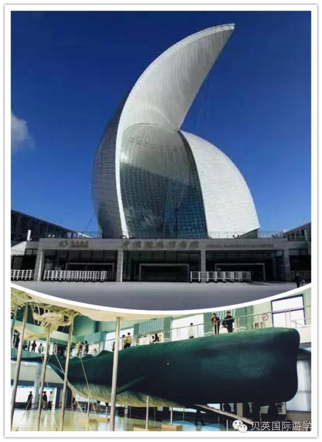 上海5日冬令营·外教英语+海洋科技+国学启蒙