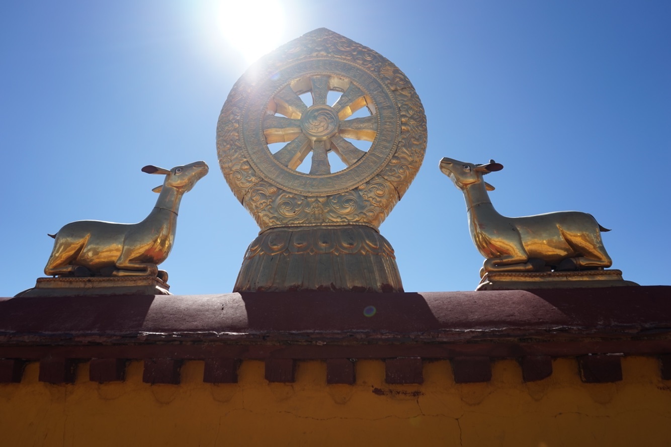 西藏旅游怎么样,西藏旅游好玩吗【携程旅游】