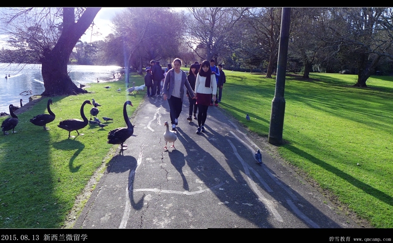 【超高性价比】寒假新西兰交换生项目+机签全