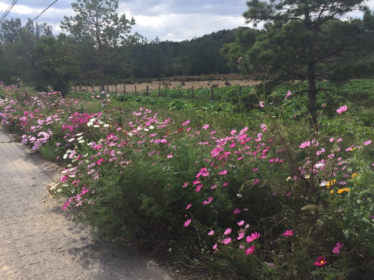 重阳登高,在传统中回归最平凡的家庭幸福!-【携