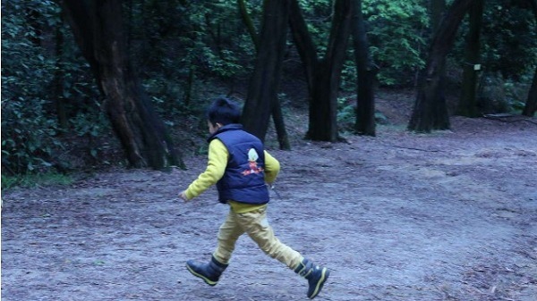 一堂自然课+一堂野炊课+一堂团队拓展课,轻松