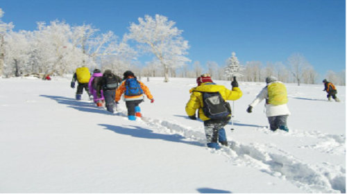 哈尔滨5日亲子冬令营·雪乡穿越 哈尔滨5日亲子冬令营·雪乡穿越