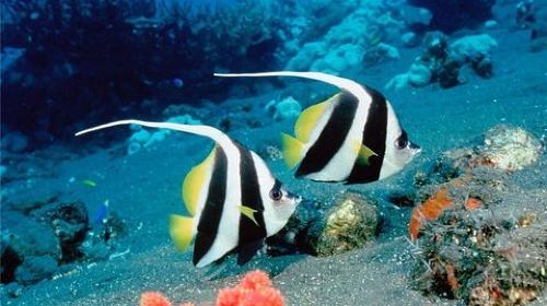 摄影之旅·沙巴+文莱5日4晚跟团游·全程搭乘