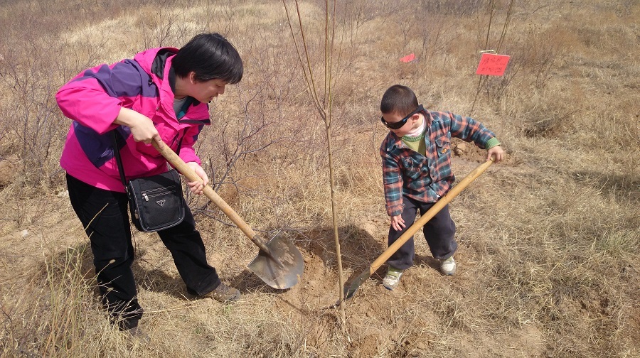 我为大地添新绿--亲子植树活动