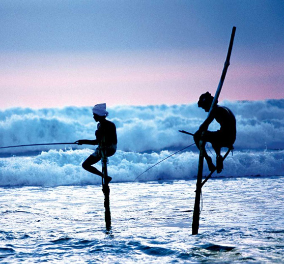 斯里兰卡8日6晚跟团游·mu直飞 锡兰红茶 高跷