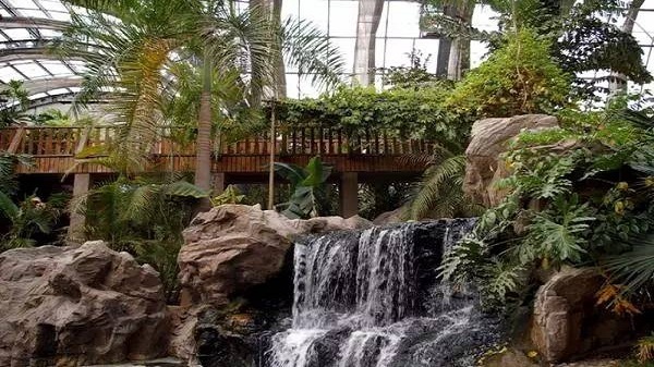 热带雨林冒险记:爸妈休闲过周末,让宝宝们来解