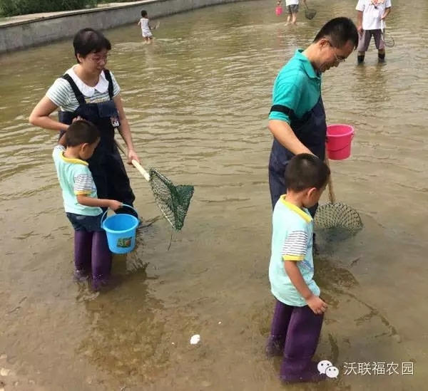 体验都市农场 露天电影 森林寻宝 花样亲子