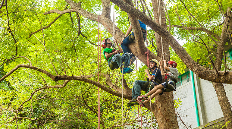 【上海半日周末游】爬树的升级版 攀树运动 新
