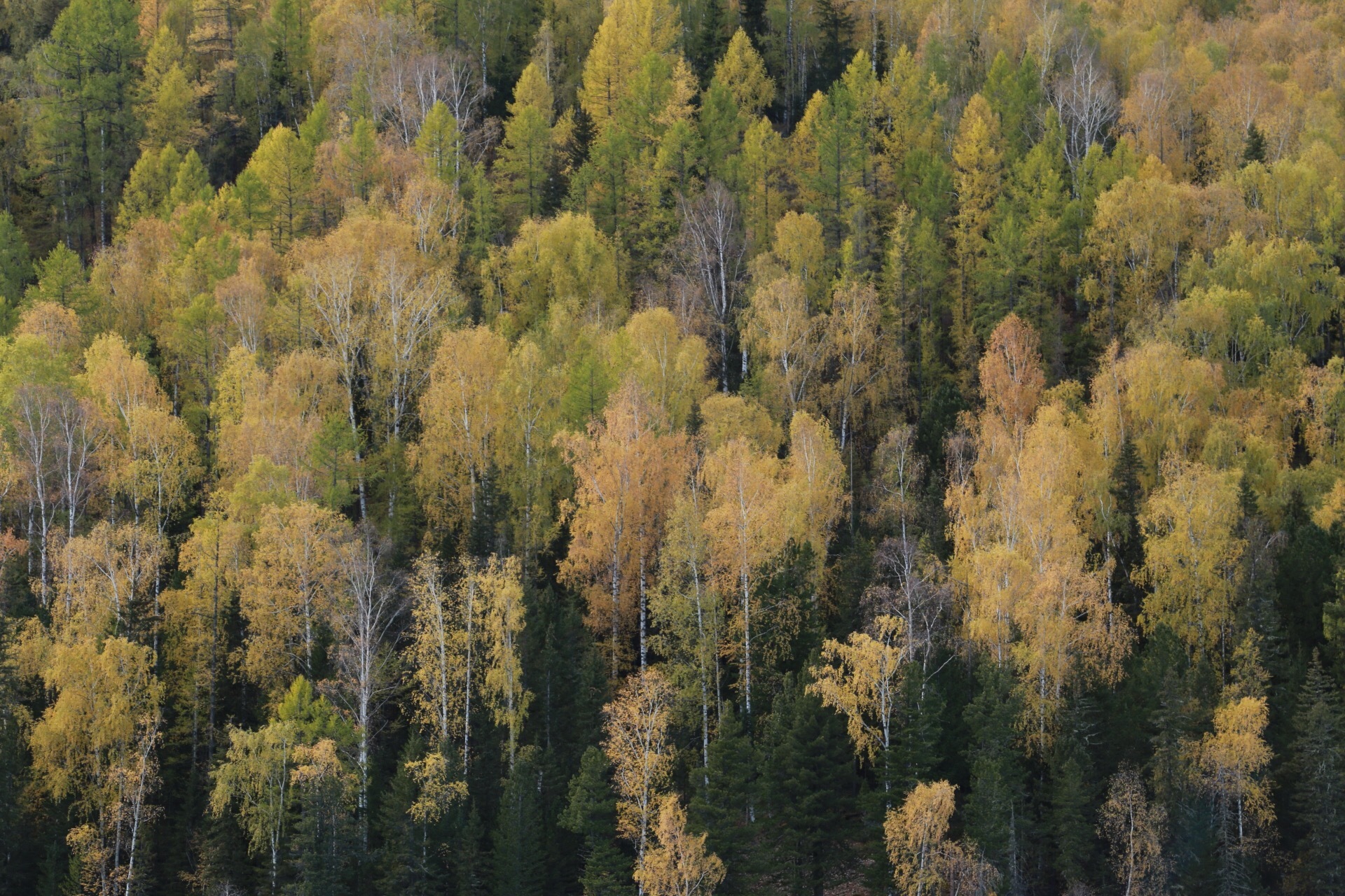 乌鲁木齐旅游怎么样,乌鲁木齐旅游好玩吗